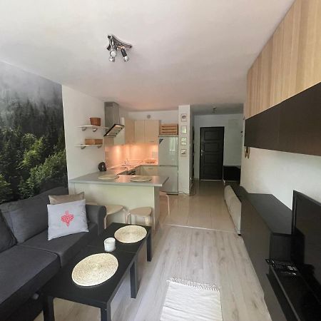 Kasprusie 10 By Homeprime Zakopane Zewnętrze zdjęcie
