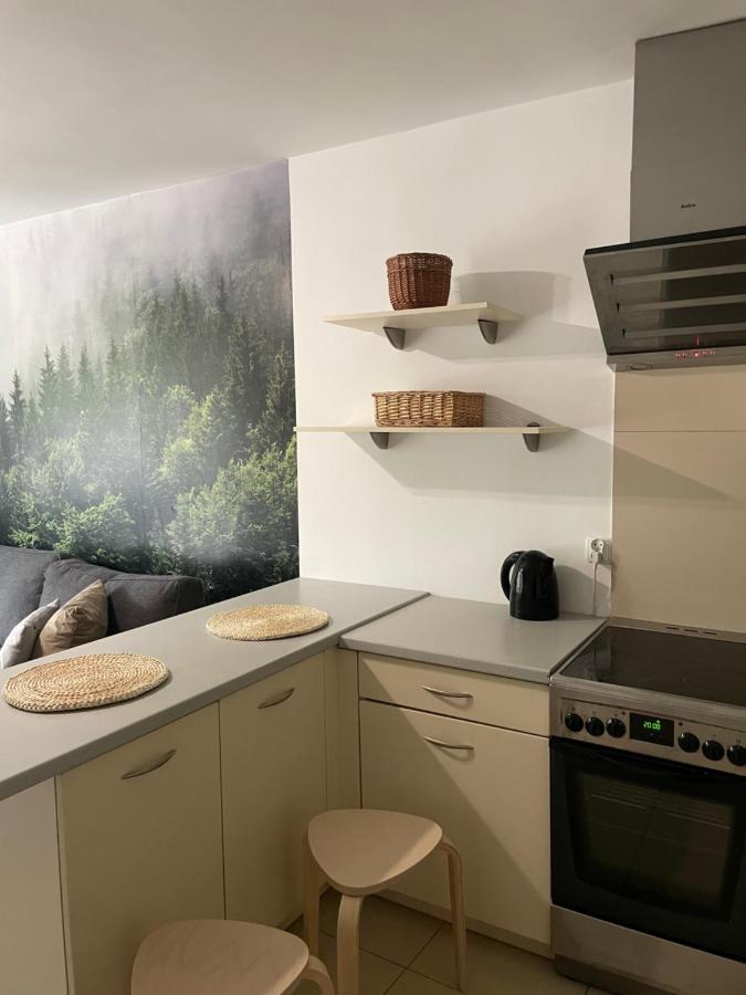 Kasprusie 10 By Homeprime Zakopane Zewnętrze zdjęcie