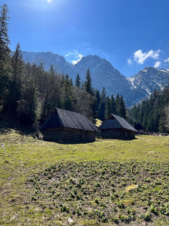 Kasprusie 10 By Homeprime Zakopane Zewnętrze zdjęcie