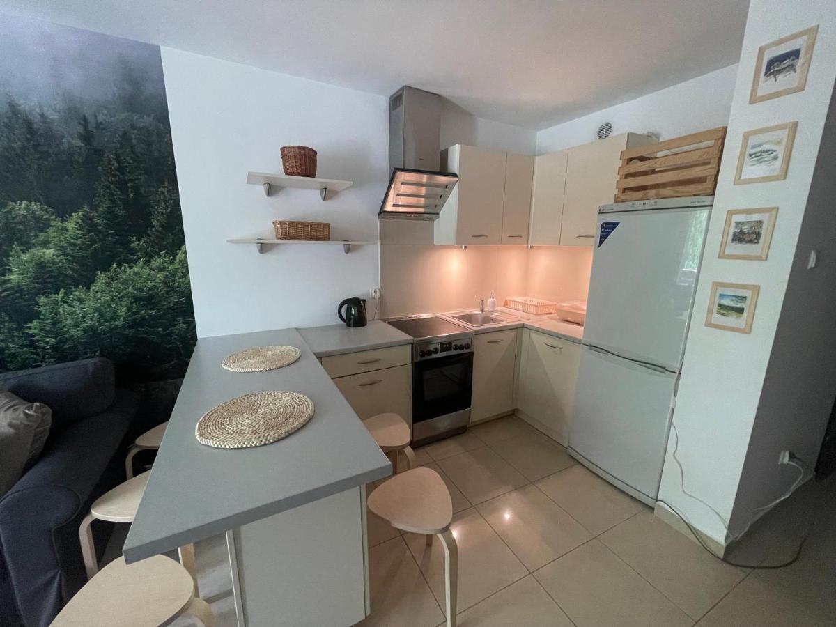 Kasprusie 10 By Homeprime Zakopane Zewnętrze zdjęcie